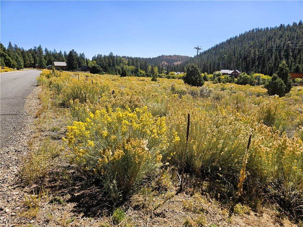 776 E Aspen Meadow Drive AH-9