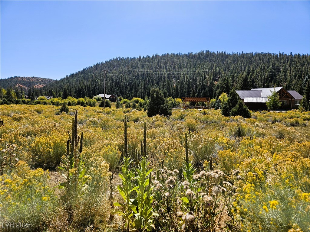 776 E Aspen Meadow Drive AH-9