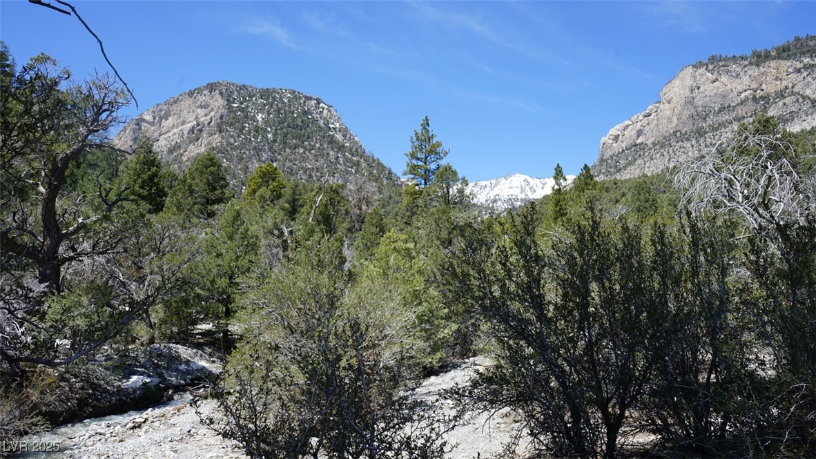 233 Ski Trail Road, Las Vegas, Nevada image 1
