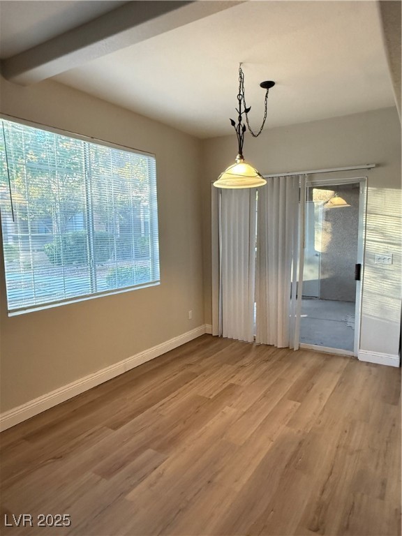 1405 Seward Street 104