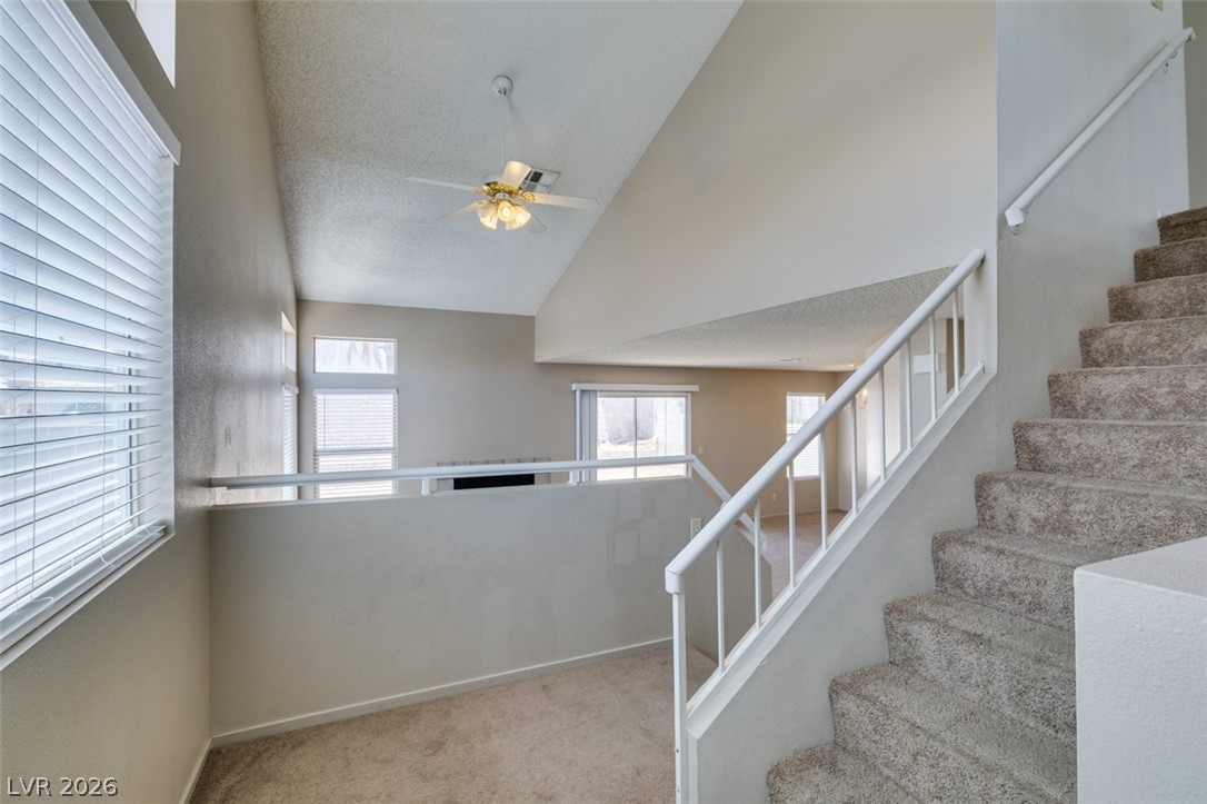 3317 Sonterra Circle