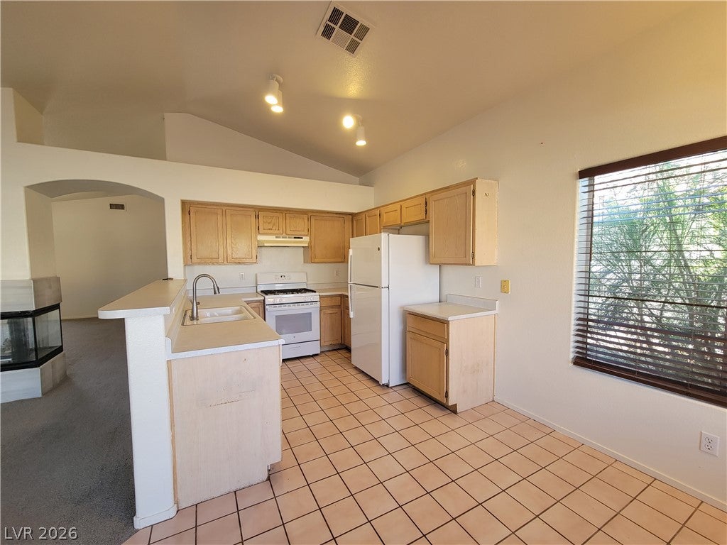 8020 HURRICANE COVE Court 0