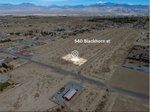 540 Blackhorn Street Pahrump NV 89048