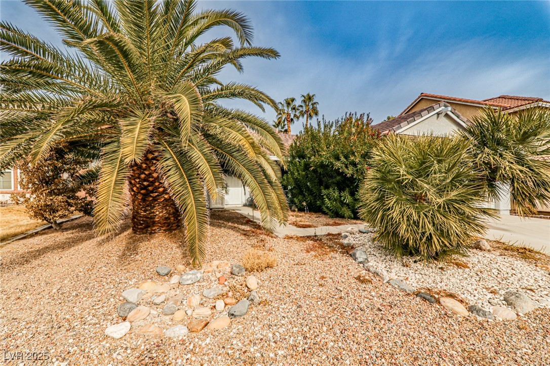 9514 Teton Vista Avenue