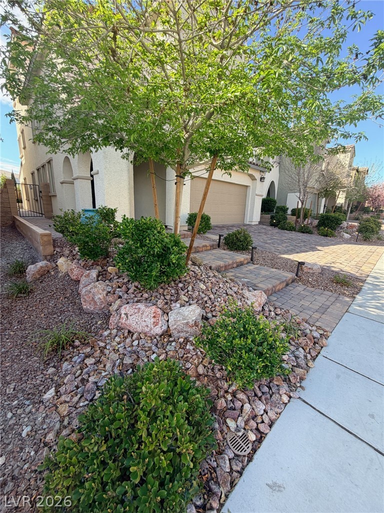 10025 Desert Bighorn Court
