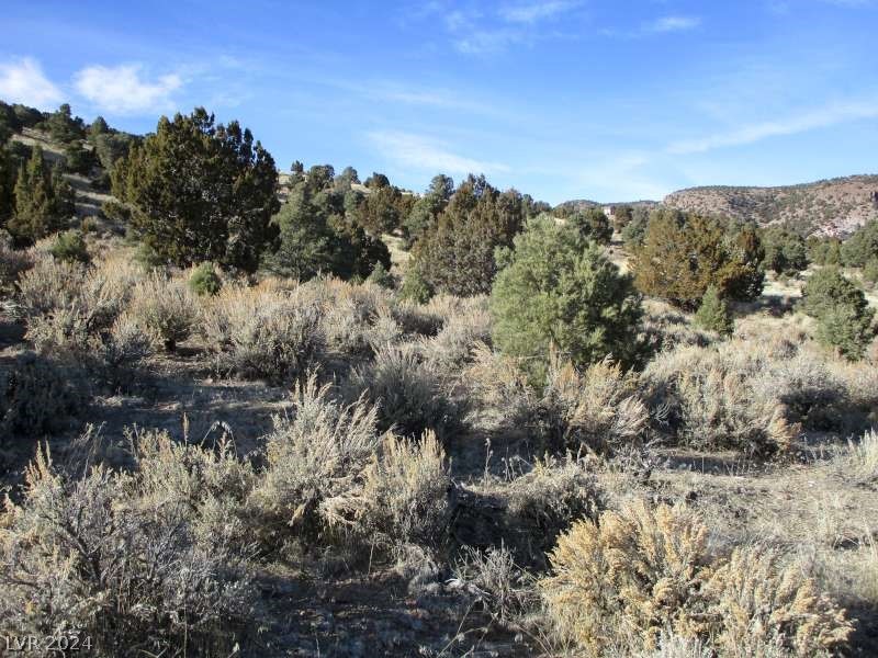 Nevada Hwy 322 (10.012 Ac), Pioche, Nevada image 6