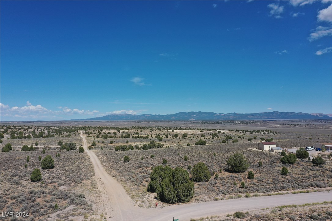 Pinyon Pine, Pioche, Nevada image 4