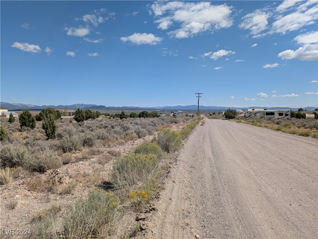 Pinyon Pine, Pioche, Nevada image 10