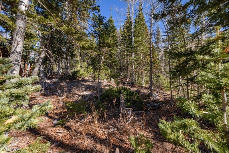 271 E Deer Trail