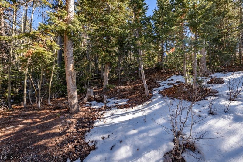 271 E Deer Trail