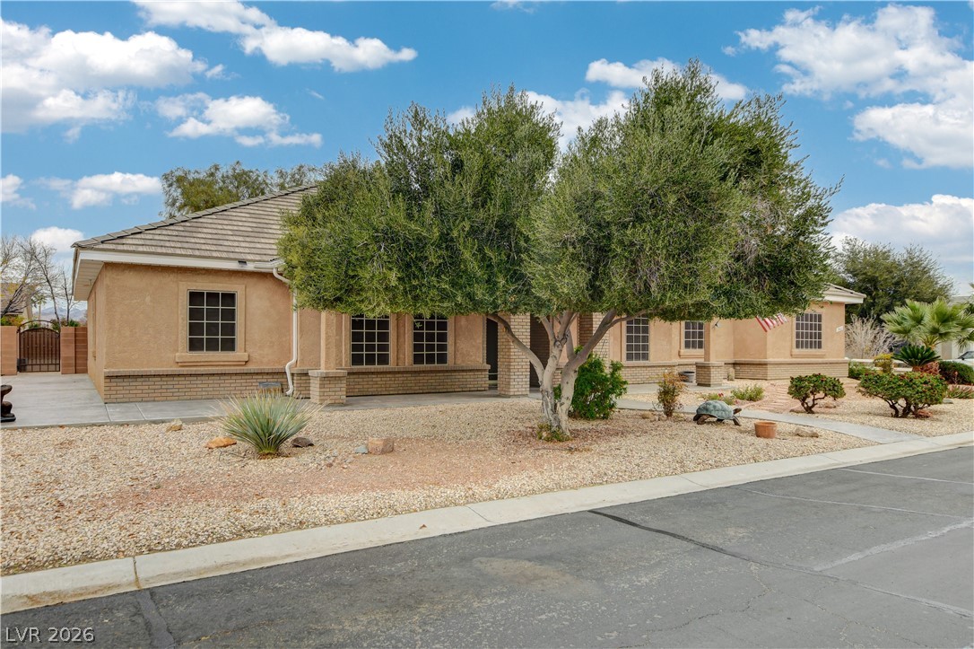 1962 Trophy Elk Avenue