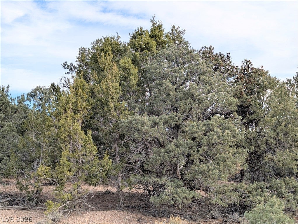 Lot 1-B Side Hill Pass