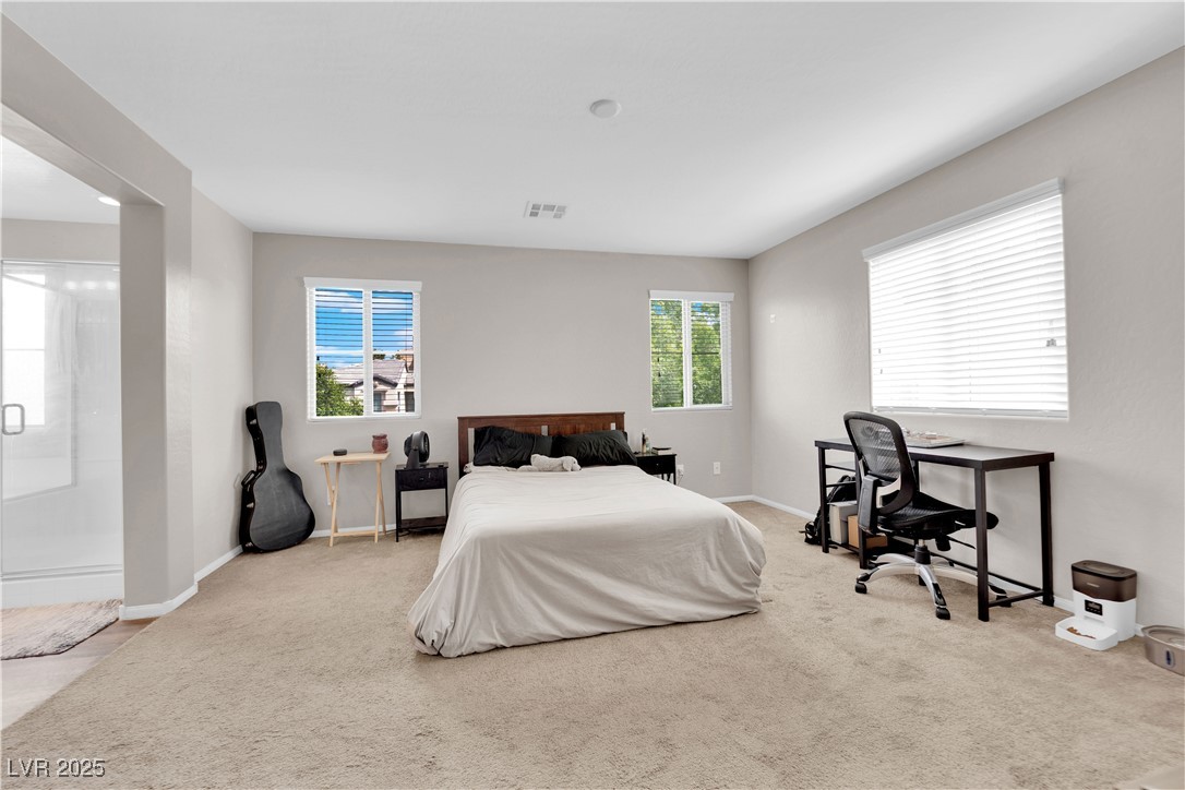 9024 Hazy Haven Court, Las Vegas, Nevada image 19