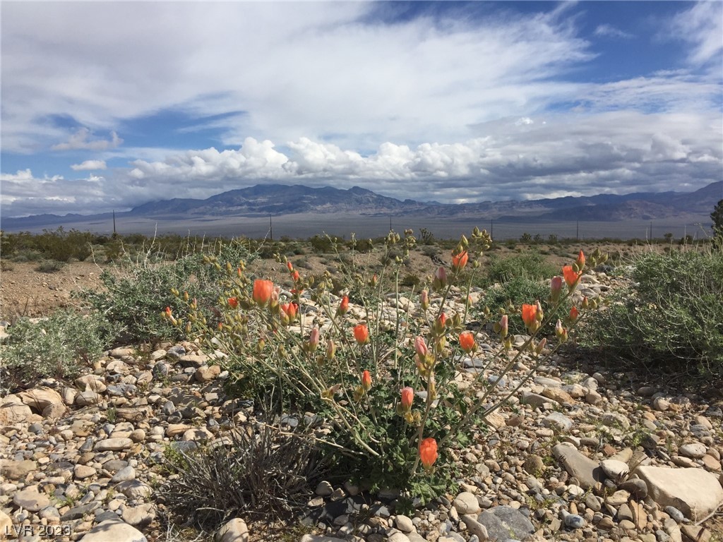 Kyle Canyon Road