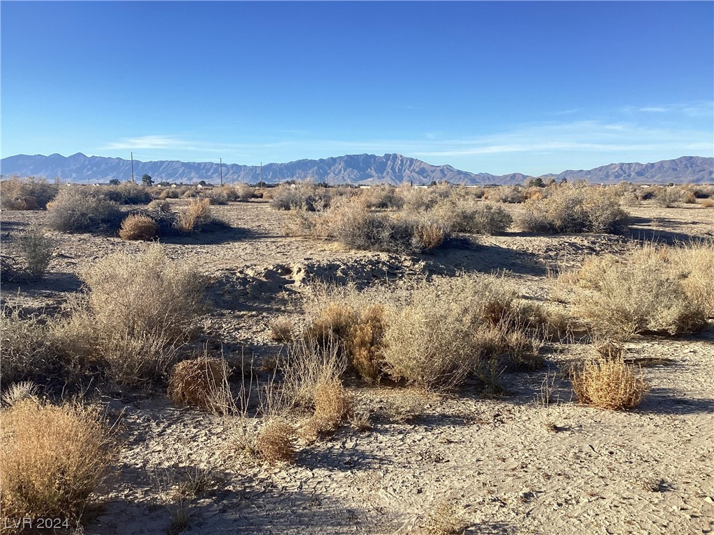 871 E Marfil Avenue, Pahrump, Nevada image 2