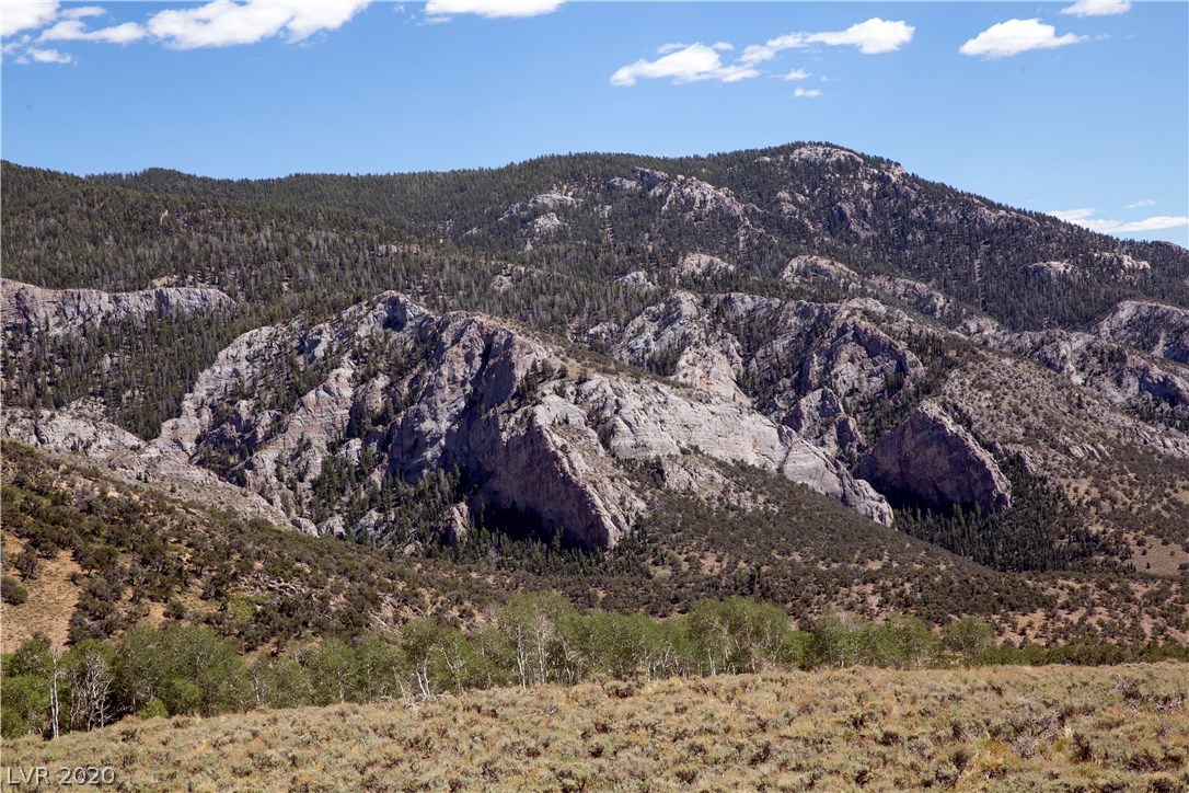 Duck Creek Development, Ely, Nevada image 15