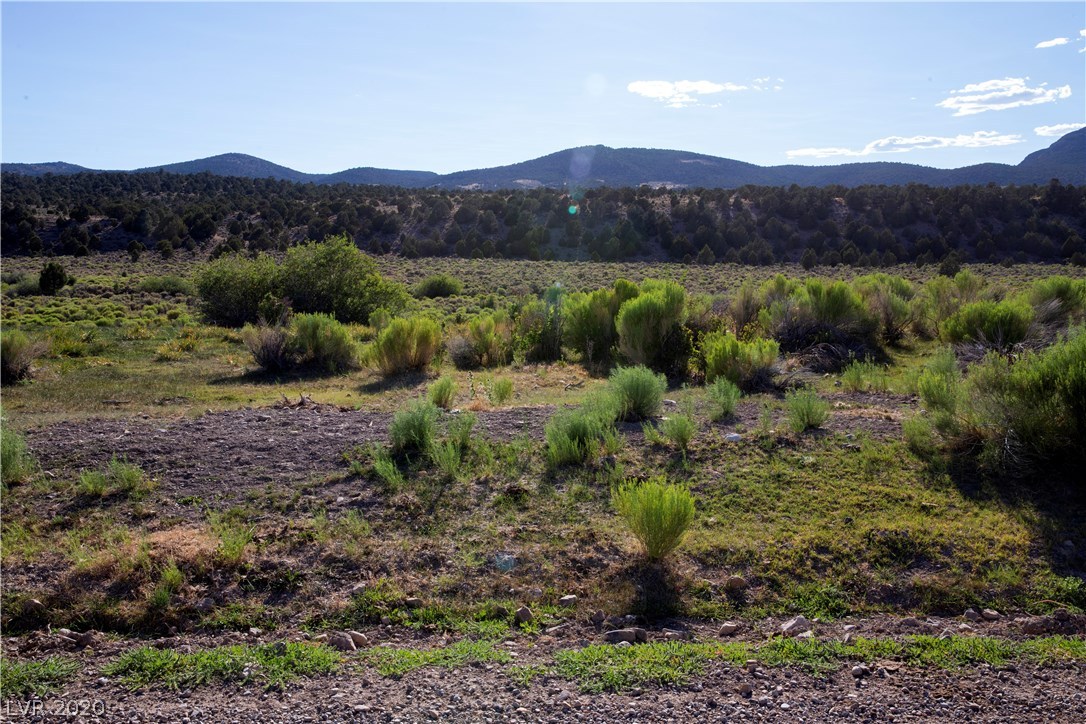 Duck Creek Development, Ely, Nevada image 1