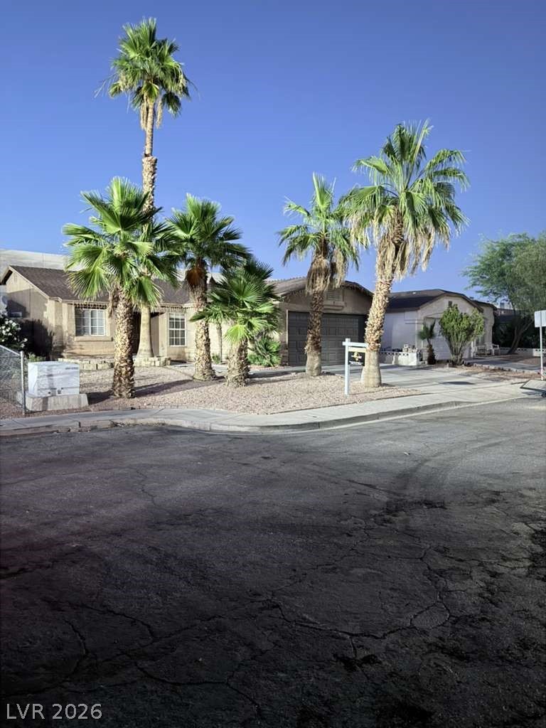 3710 Royal Fern Circle