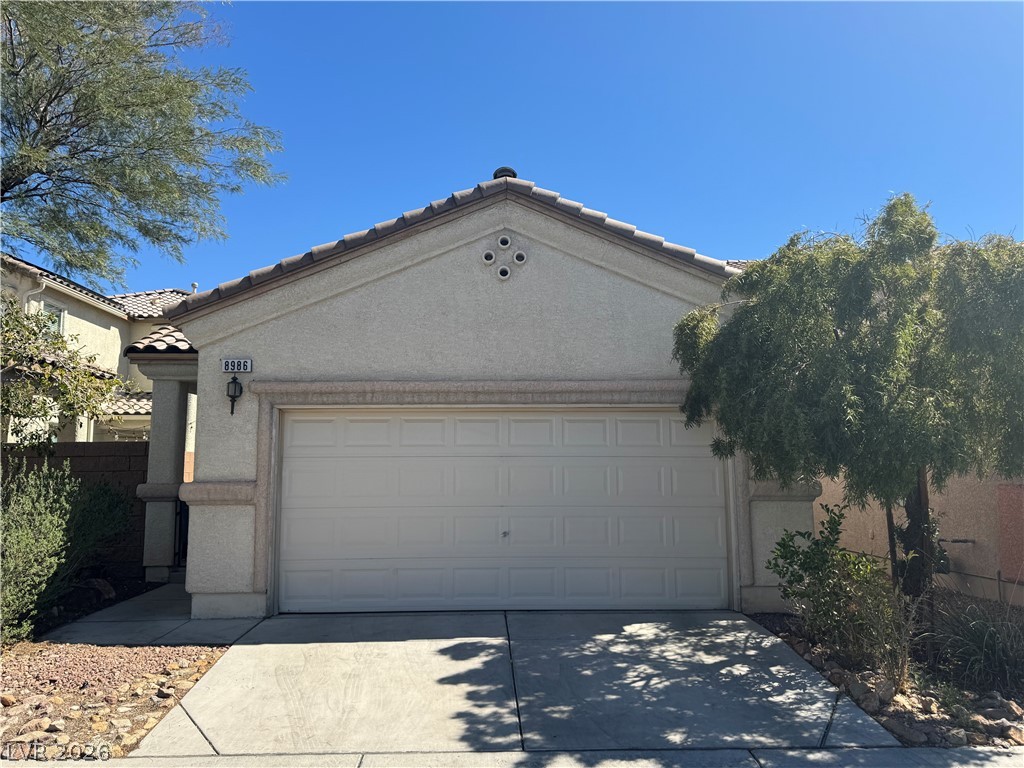 8986 Ellenbrook Street