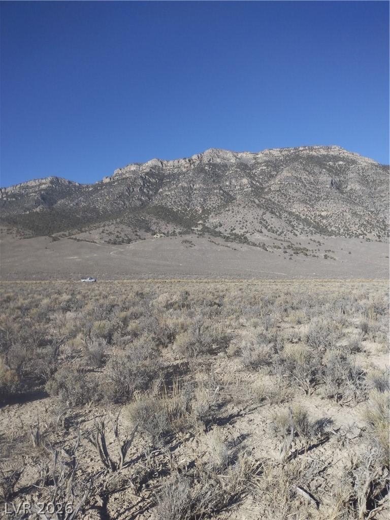 5 Acres in Newark Valley!