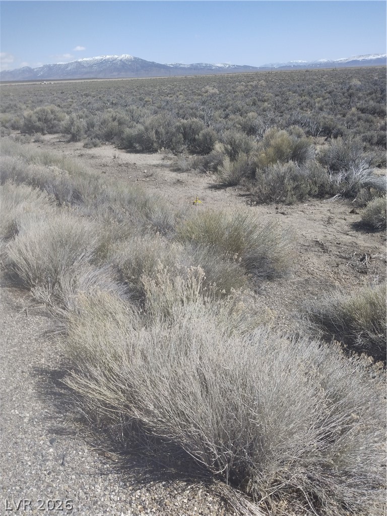 5 Acres in Newark Valley!