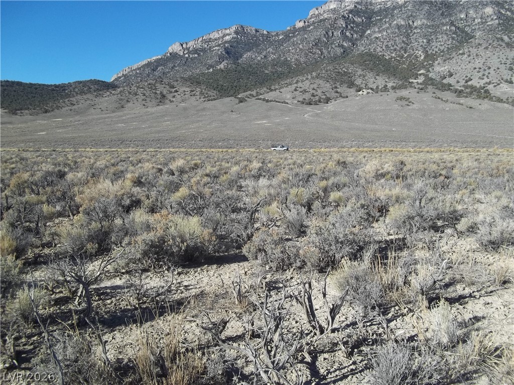 5 Acres in Newark Valley!
