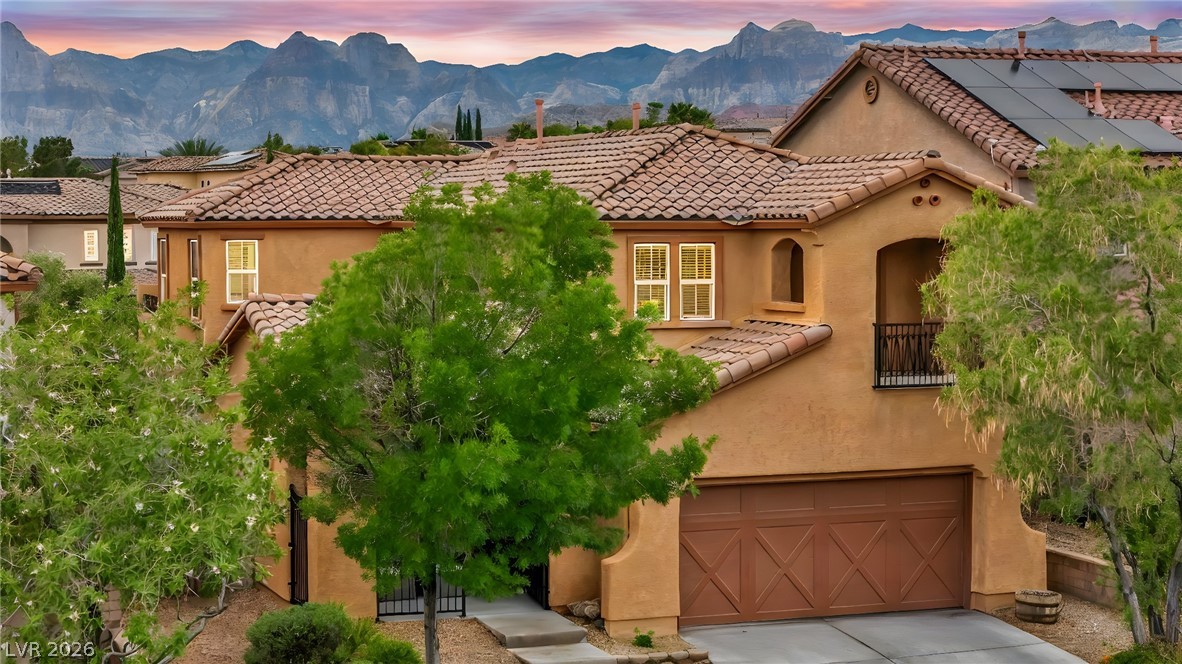 617 Apricot Rose Place