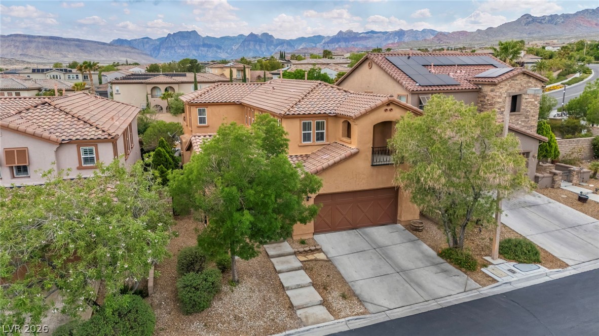 617 Apricot Rose Place