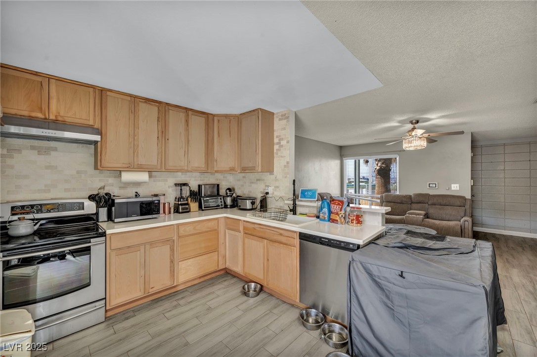 301 E Van Wagenen Street, Henderson, Nevada image 8
