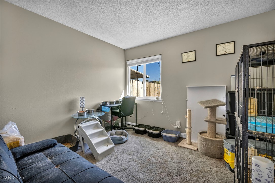 301 E Van Wagenen Street, Henderson, Nevada image 13