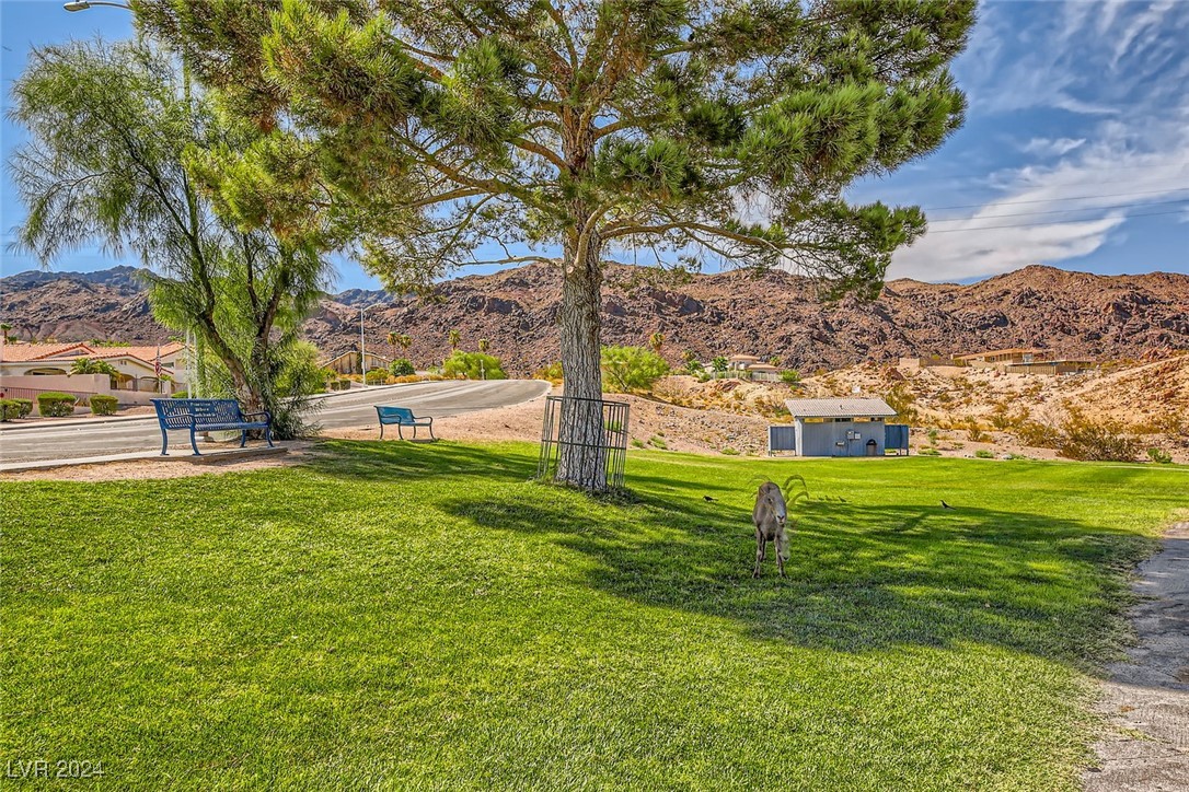 250 Big Horn Drive, Boulder City, Nevada image 3