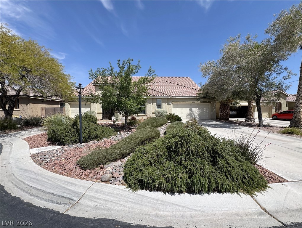 8804 Willow Cabin Street