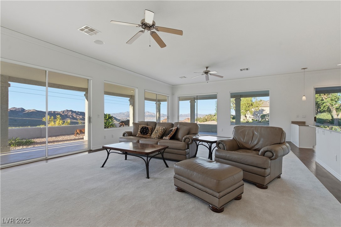 940 Villa Grande Way