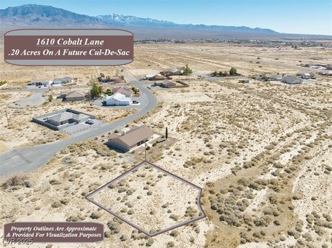 1610 W Cobalt Lane Pahrump NV 89060