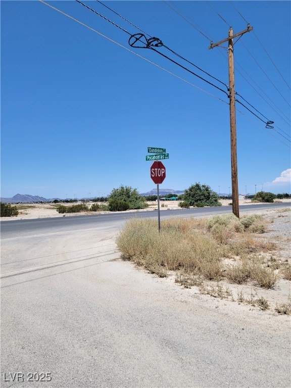 1810 S Dandelion Street