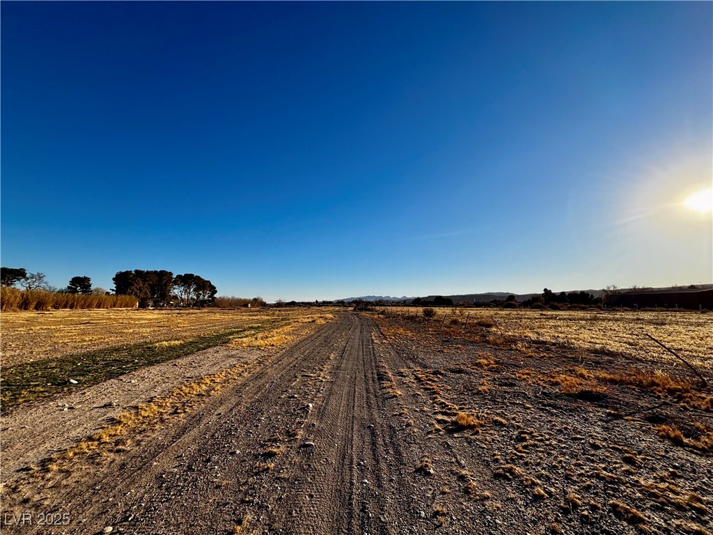 Land, Logandale, Nevada image 5