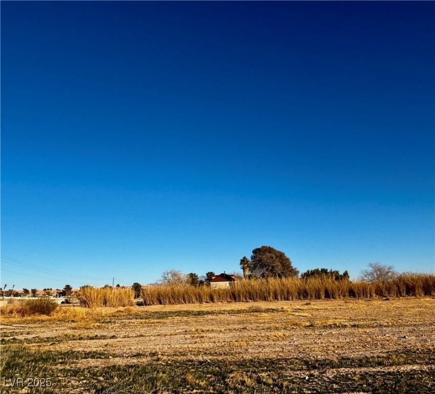 Land, Logandale, Nevada image 3