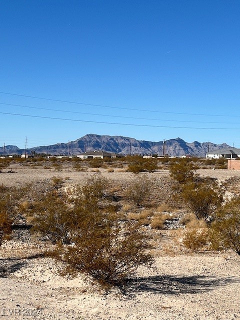 1820 S Omaha Avenue, Pahrump, Nevada image 12