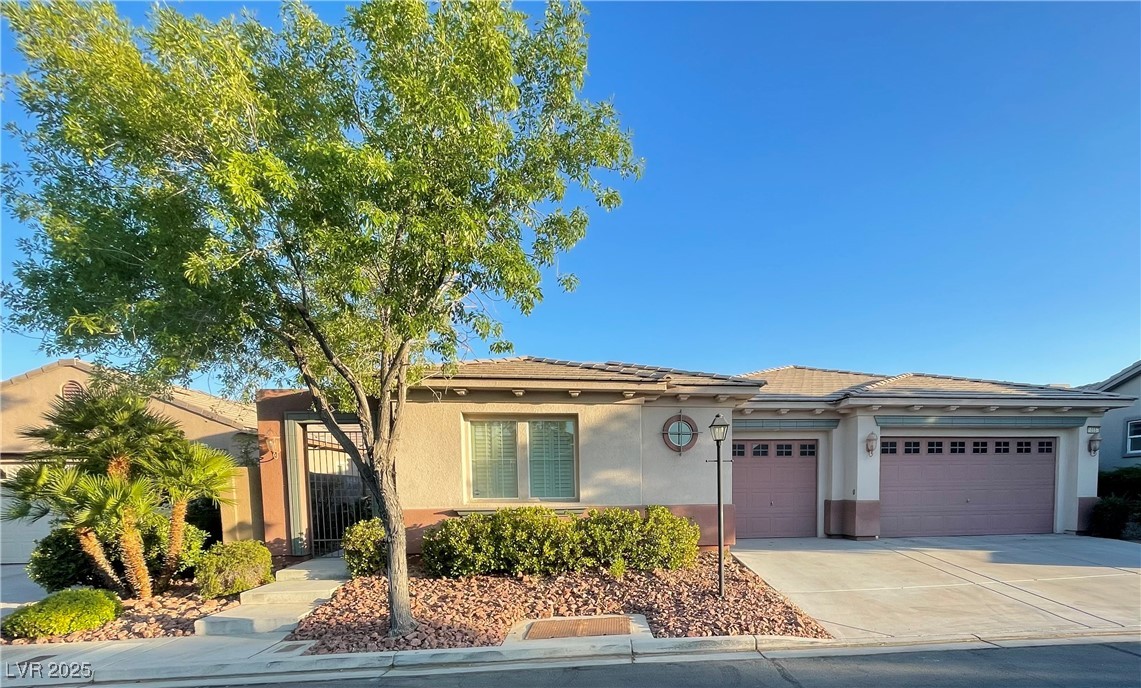 10557 Garden Light Drive