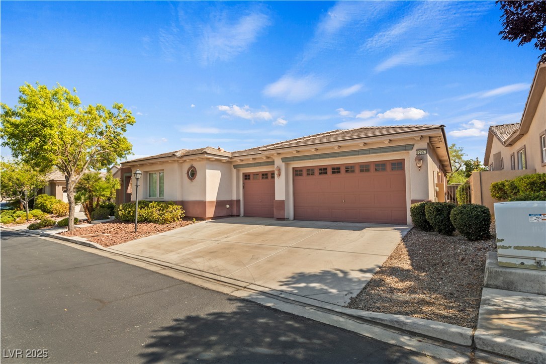 10557 Garden Light Drive