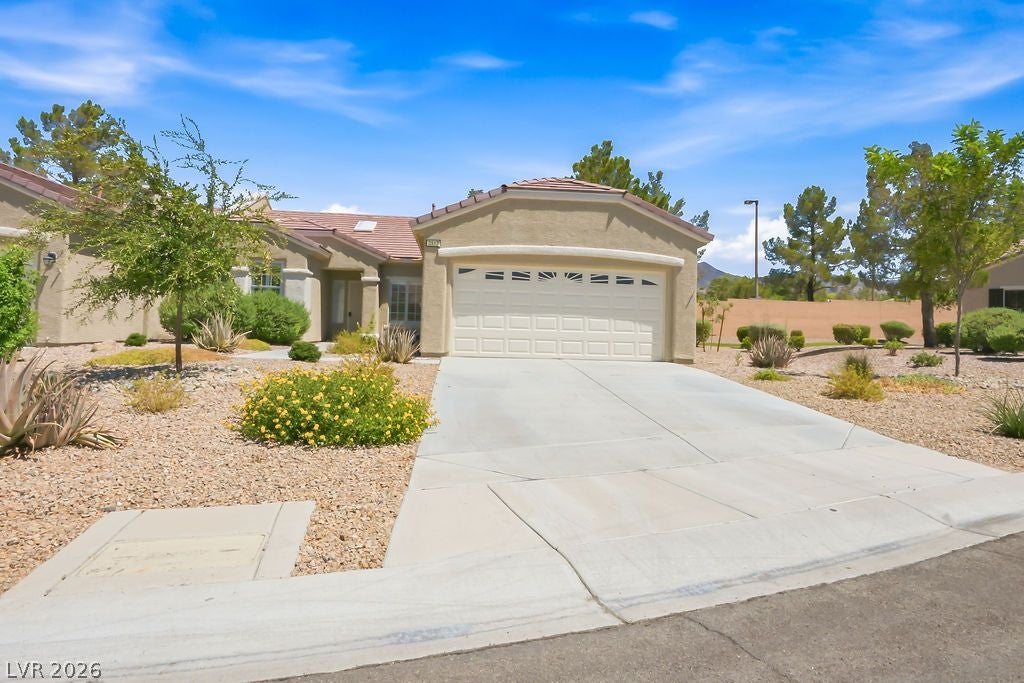 2517 Springville Way