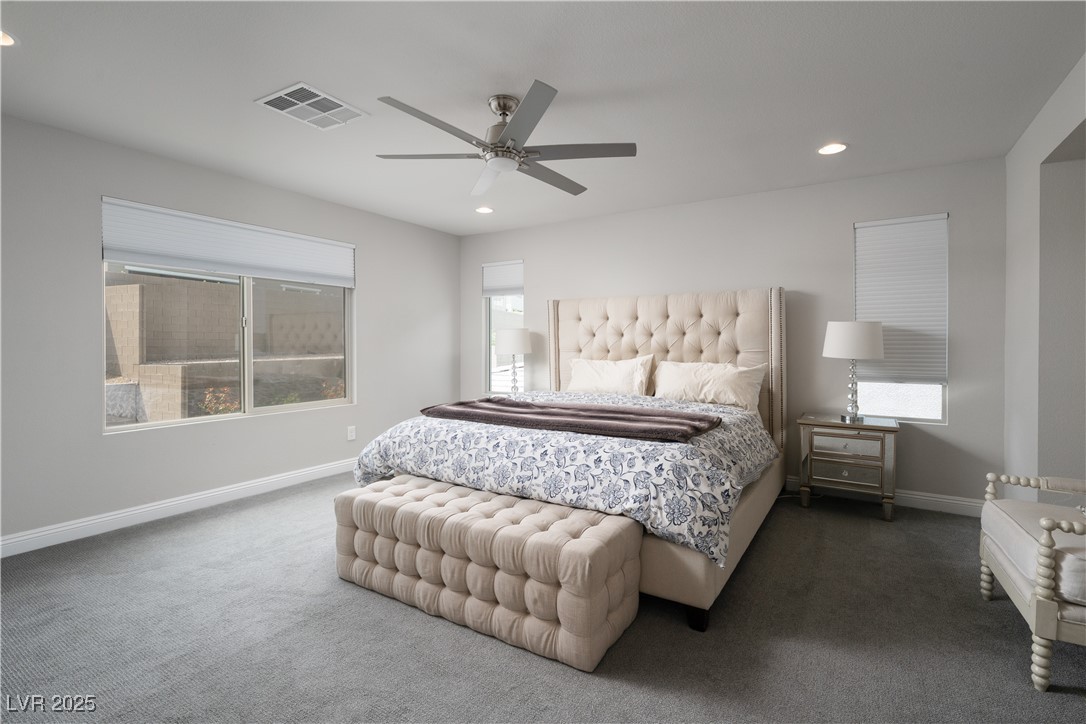 12495 Point Sierra Street, Las Vegas, Texas image 30