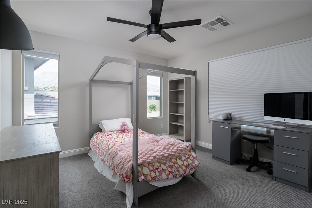 12495 Point Sierra Street, Las Vegas, Texas image 41