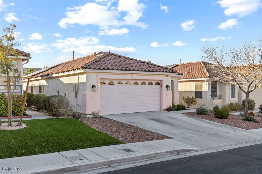 1131 CATHEDRAL RIDGE Street