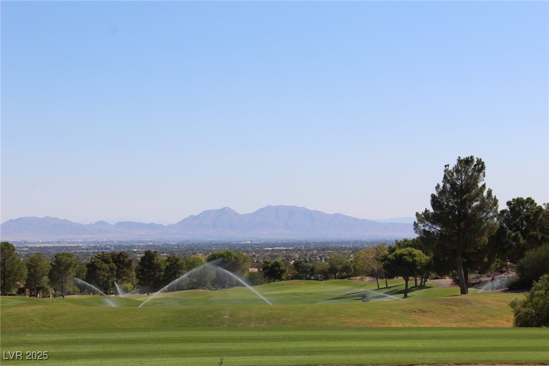 10732 Cedar Creek Avenue, Las Vegas, Nevada image 24