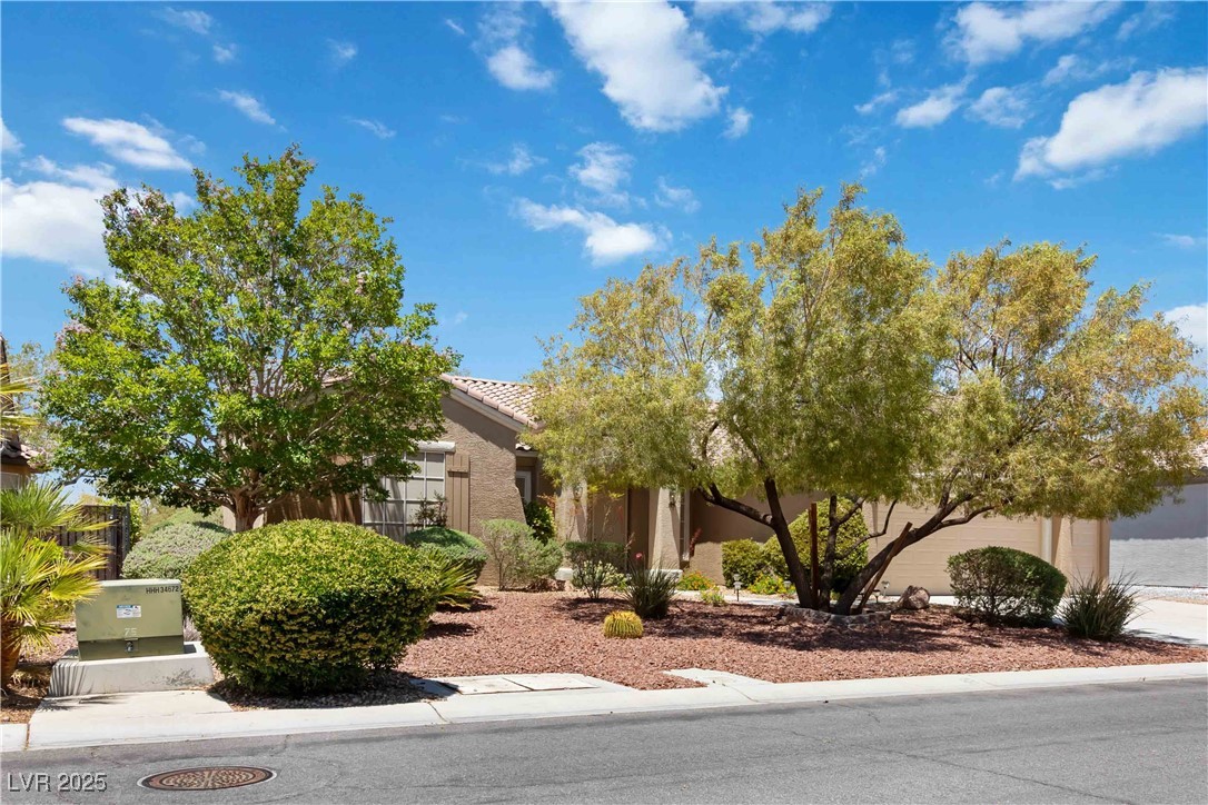 1629 Black Fox Canyon Road
