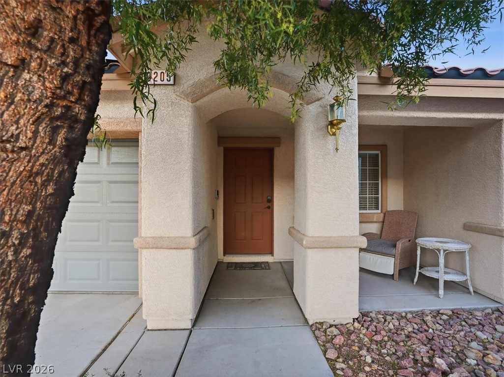 9205 Wild Peach Court