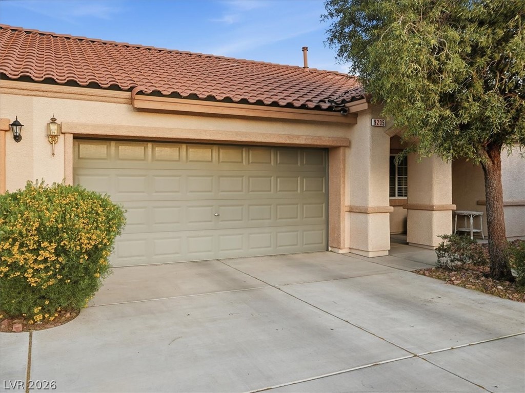 9205 Wild Peach Court