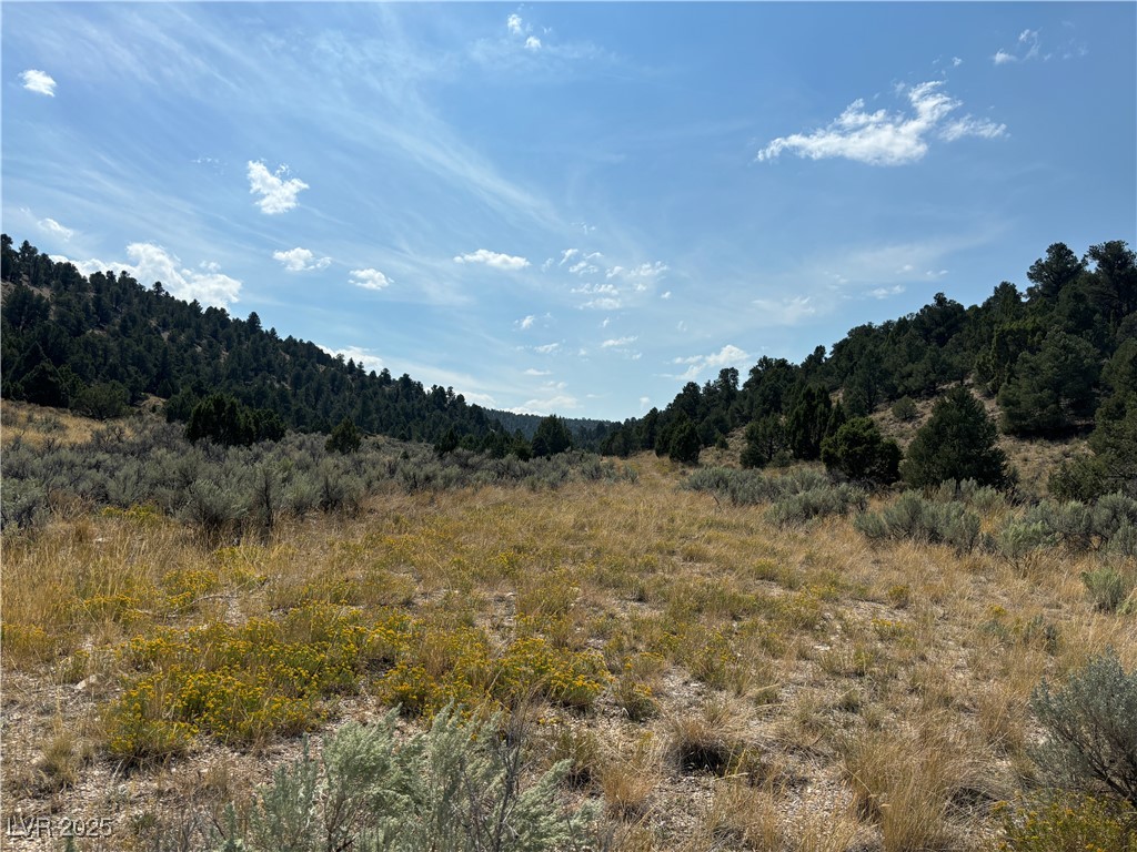 1 Ice Plant, Ely, Nevada image 27