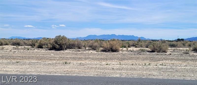 3121 E Gamebird Road, Pahrump, Nevada image 1